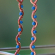 Copper and Blue Turquoise Earrings